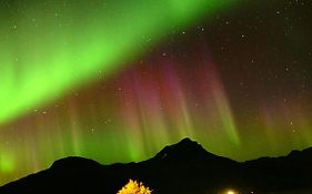 Norwegian Dream